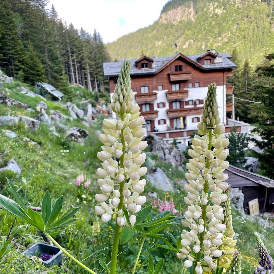 Hotel Gembro Chiesa in Valmalenco Extérieur photo