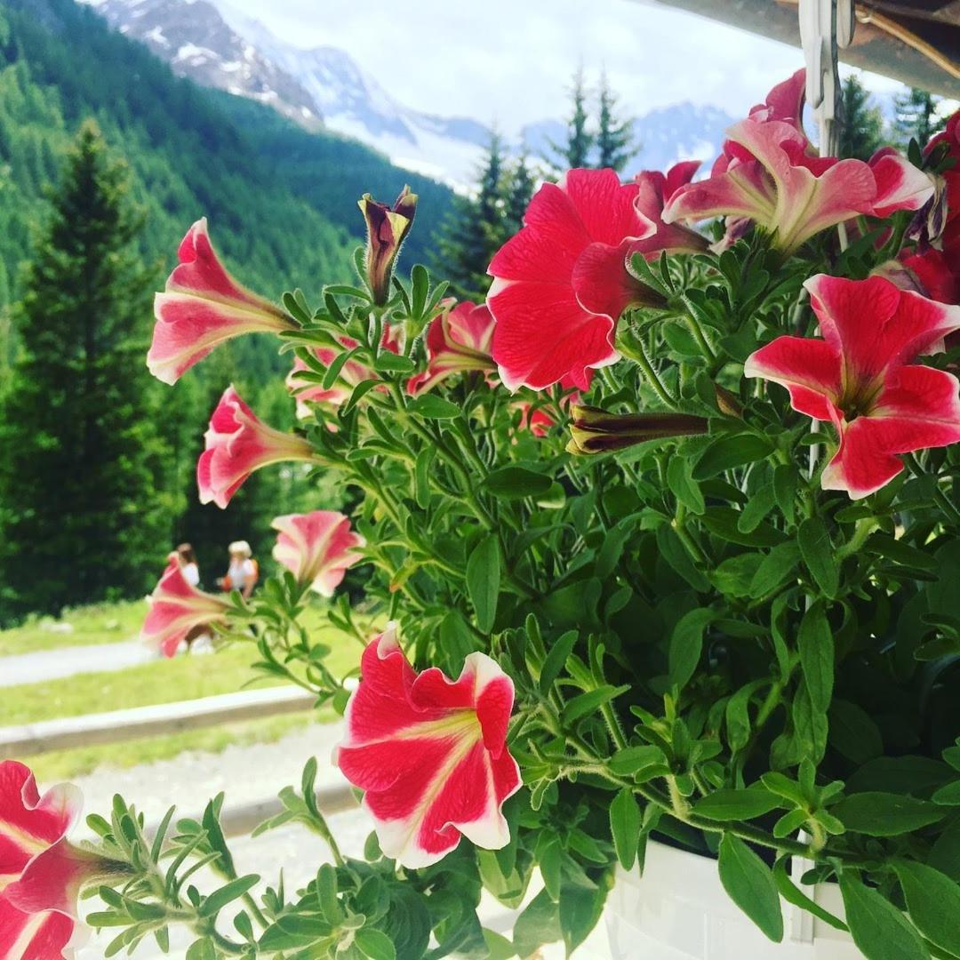 Hotel Gembro Chiesa in Valmalenco Extérieur photo